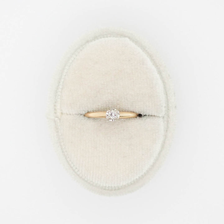 Round Solitaire Ring with White Head