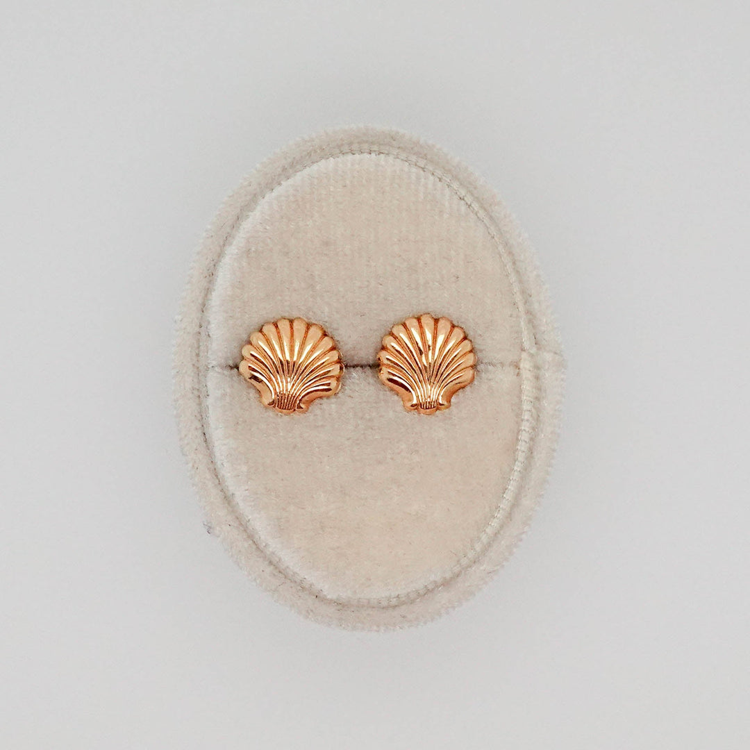 Sea Shell Stud Earrings - Acadian Estates & CustomEarrings